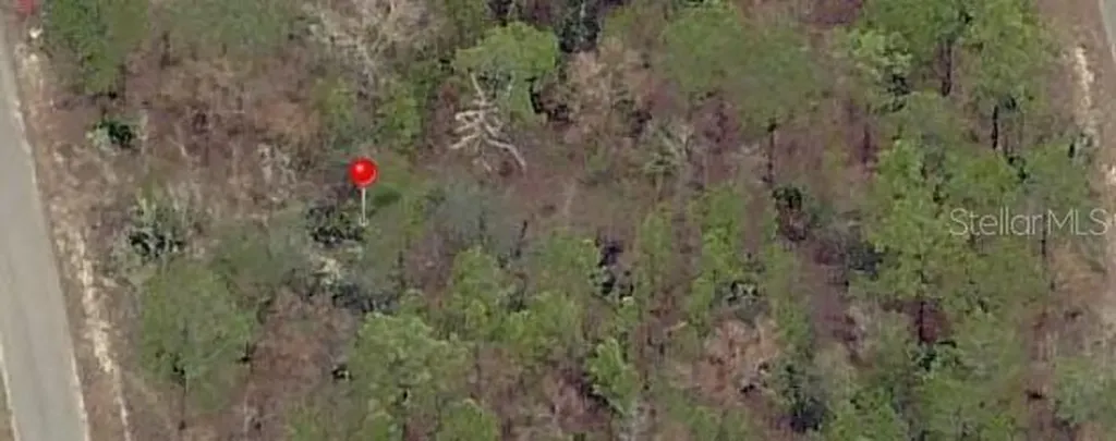 23 Fisher Lane Terrace Ocklawaha FL 32179