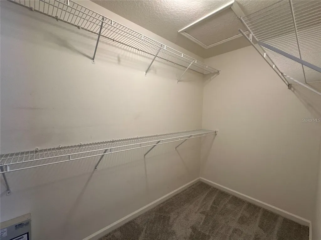 30747 Burleigh Drive Wesley Chapel FL 33543