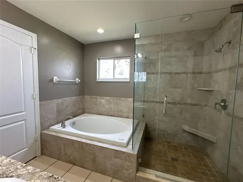 30747 Burleigh Drive Wesley Chapel FL 33543