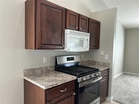 30747 Burleigh Drive Wesley Chapel FL 33543