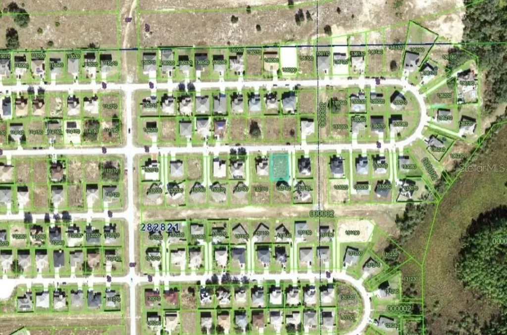 2173 Rock Drive Kissimmee FL 34759