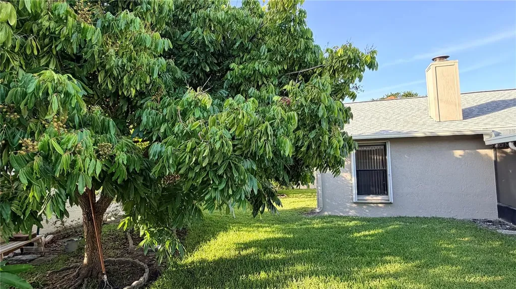 11803 Classic Lake Way Tampa FL 33635