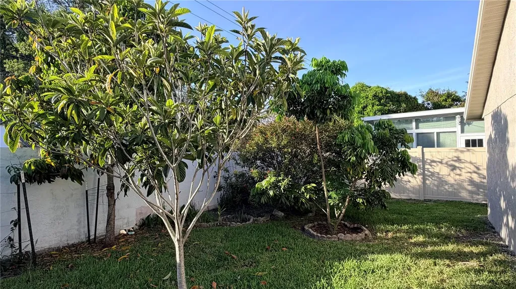 11803 Classic Lake Way Tampa FL 33635