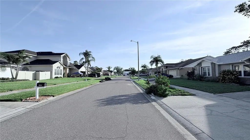 11803 Classic Lake Way Tampa FL 33635