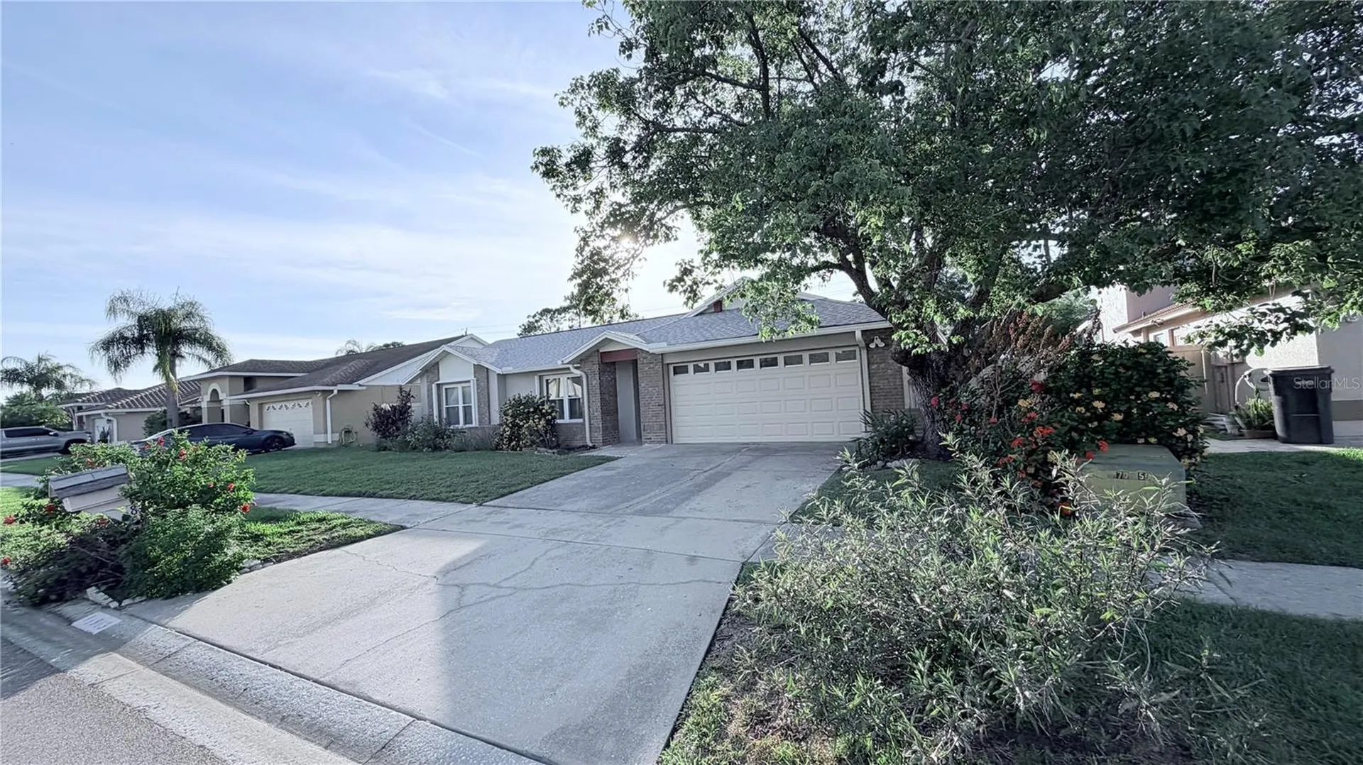 11803 Classic Lake Way Tampa FL 33635