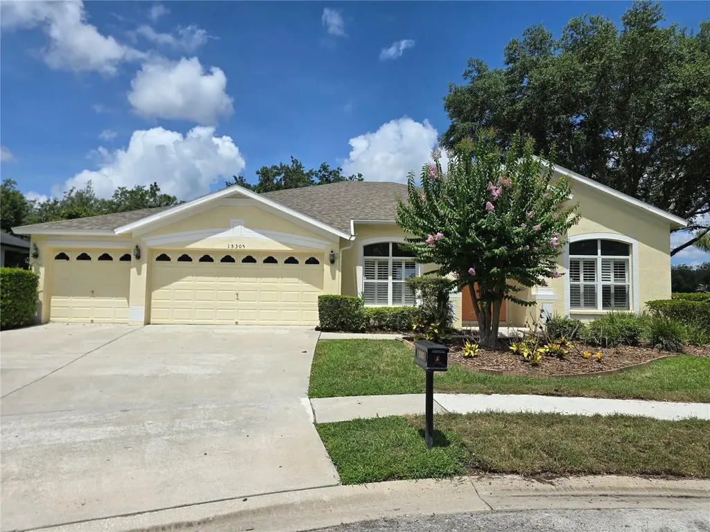 15305 Paloma Park Lane Lithia FL 33547