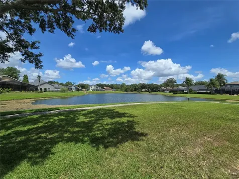 15305 Paloma Park Lane Lithia FL 33547