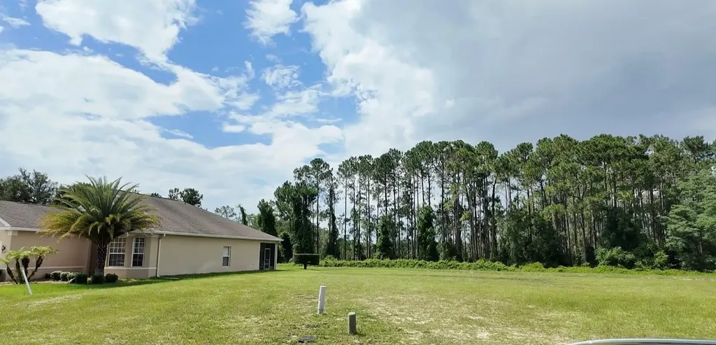 5820 Windsong Oak Drive Leesburg FL 34748