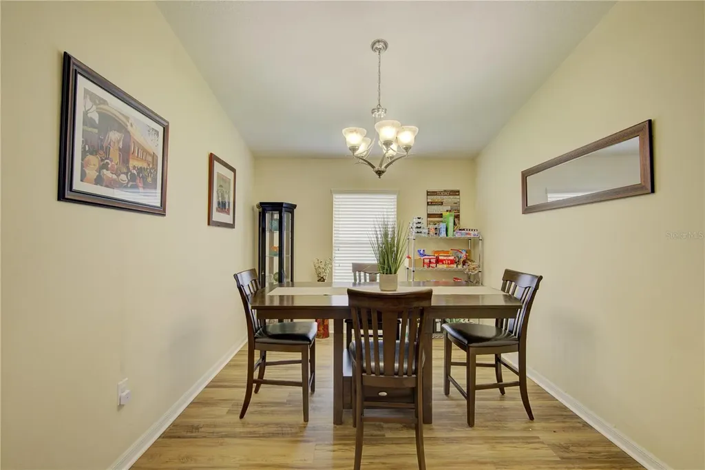 4834 Havilland Drive Mount Dora FL 32757