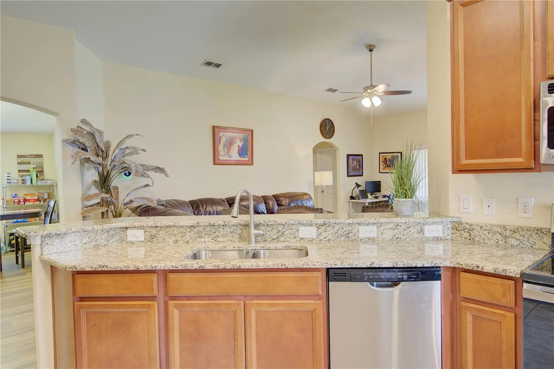 4834 Havilland Drive Mount Dora FL 32757