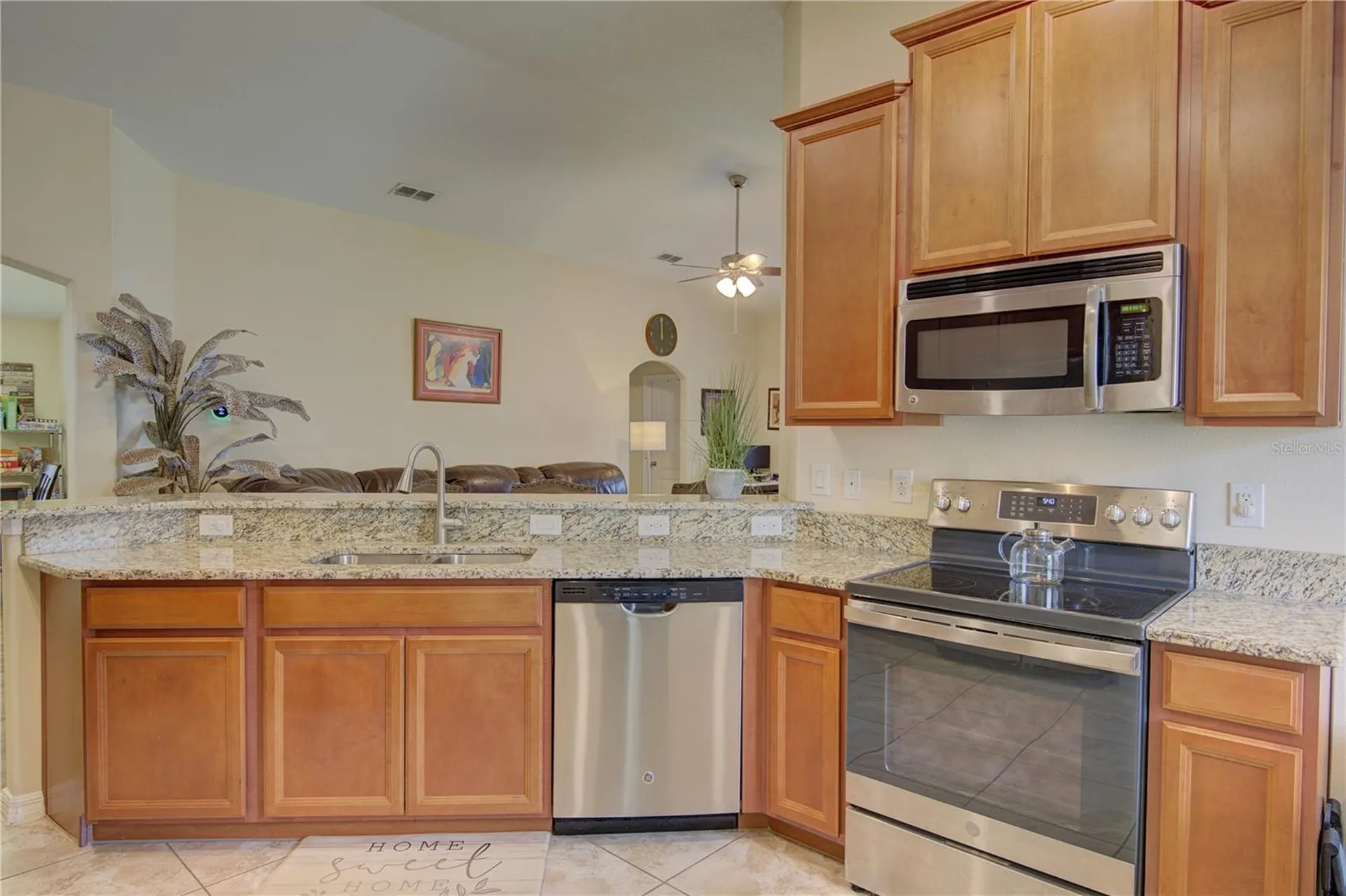 4834 Havilland Drive Mount Dora FL 32757