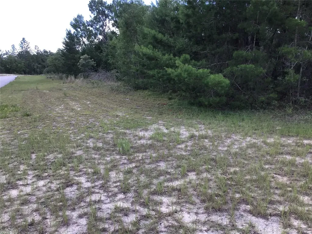 0 SW 139 Place Road Ocala FL 34473