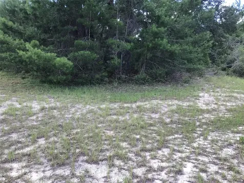 0 SW 139 Place Road Ocala FL 34473