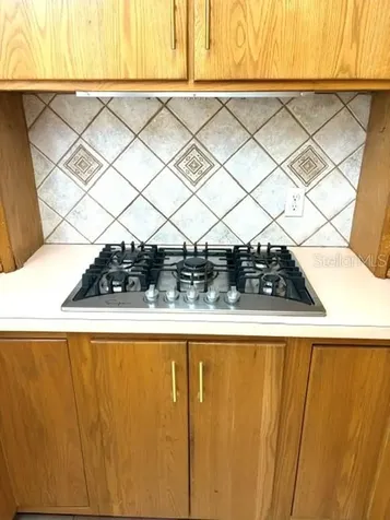 133 El Dorado Winter Haven FL 33884