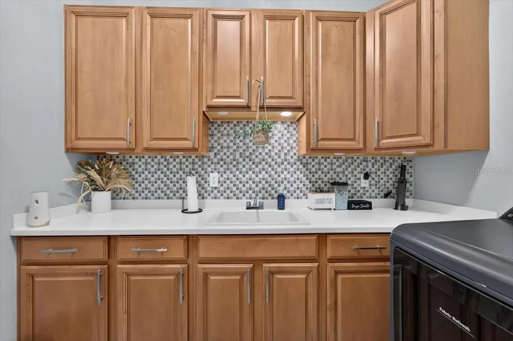 5325 Lake Siena Drive Wimauma FL 33598