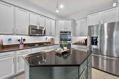 5325 Lake Siena Drive Wimauma FL 33598