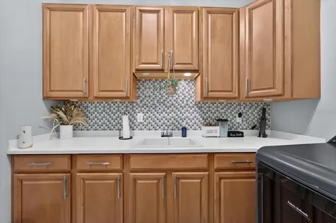 5325 Lake Siena Drive Wimauma FL 33598