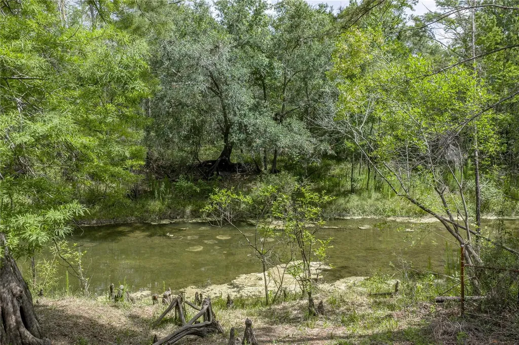 33065 Cedonia Road Dade City FL 33523