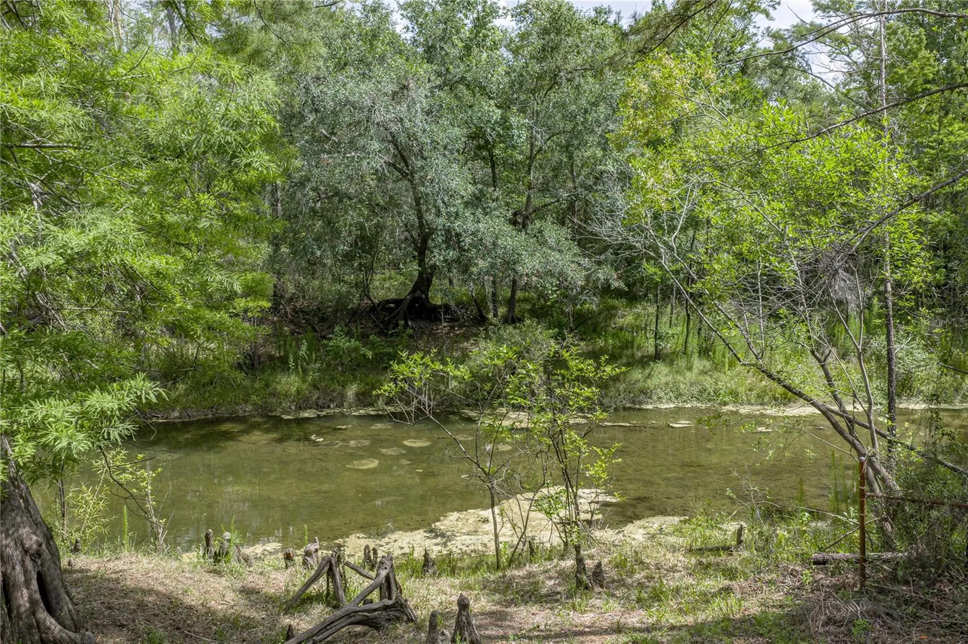 33065 Cedonia Road Dade City FL 33523