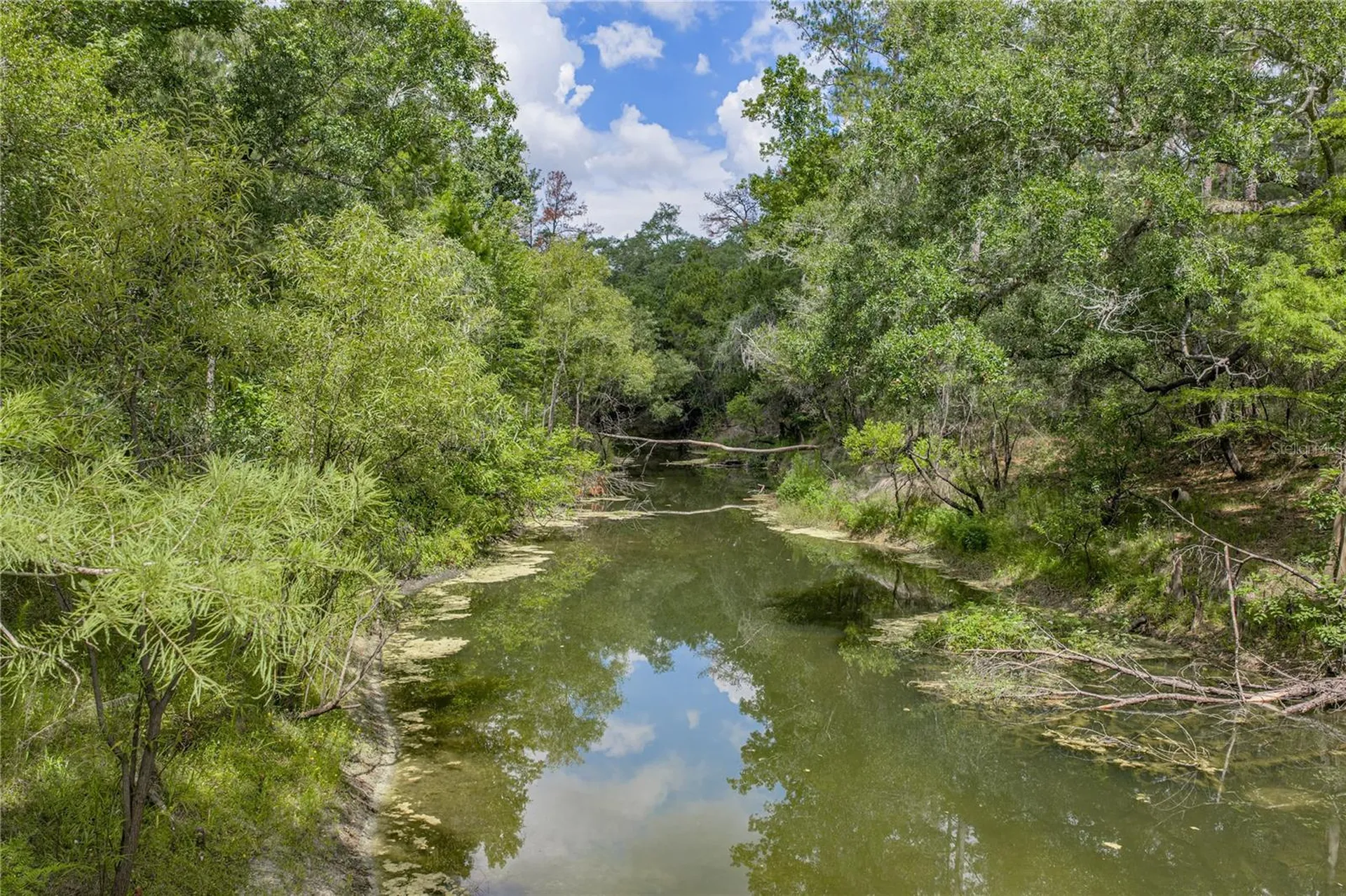 33065 Cedonia Road Dade City FL 33523