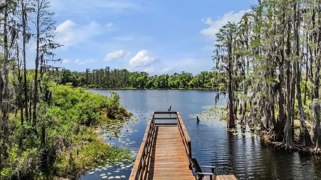 14229 Damselfly Drive Tampa FL 33625