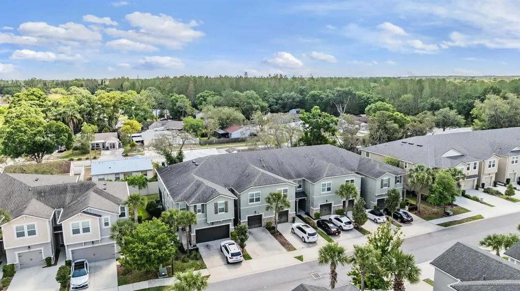 14229 Damselfly Drive Tampa FL 33625