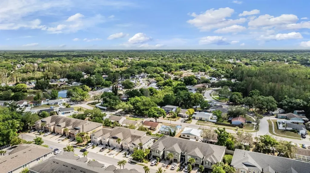 14229 Damselfly Drive Tampa FL 33625