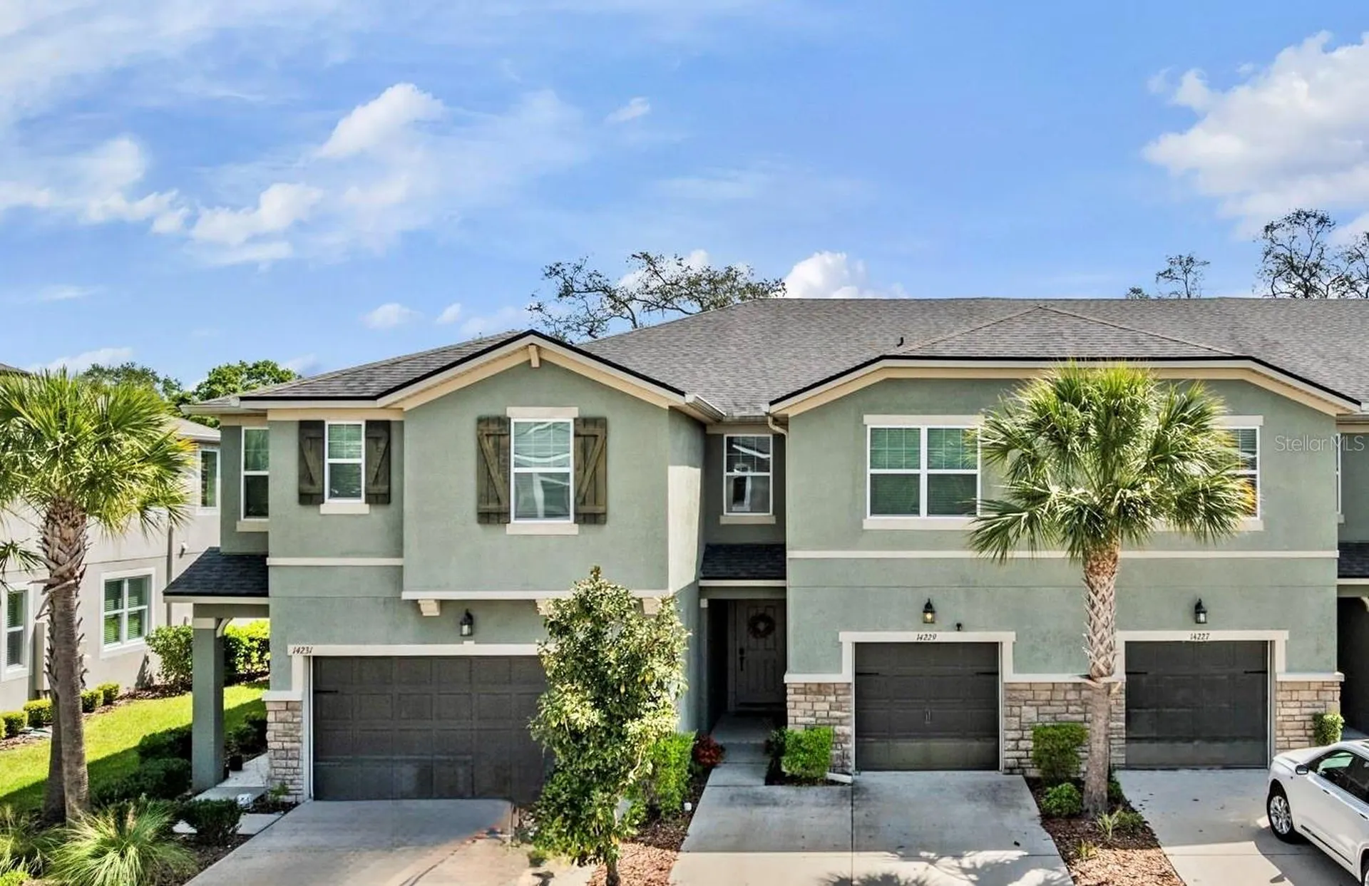 14229 Damselfly Drive Tampa FL 33625