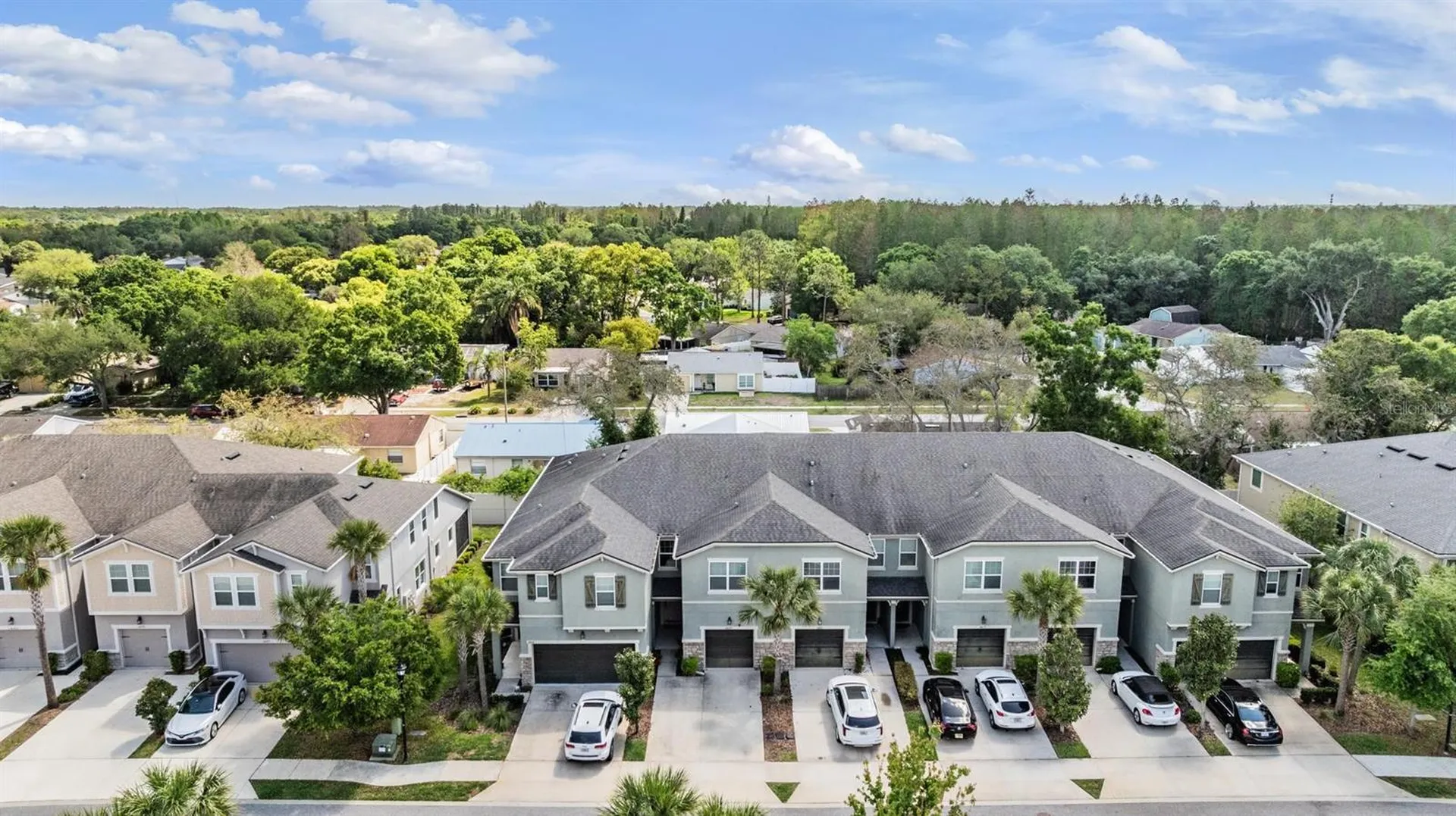 14229 Damselfly Drive Tampa FL 33625