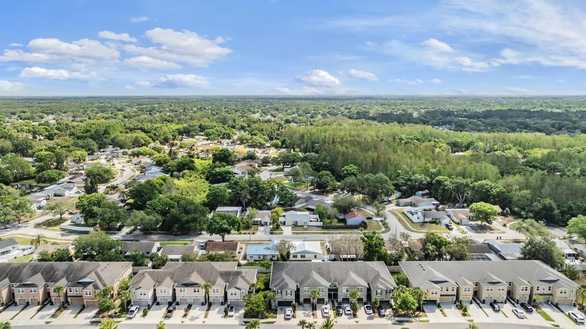 14229 Damselfly Drive Tampa FL 33625