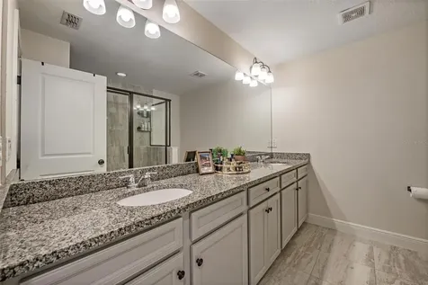 14229 Damselfly Drive Tampa FL 33625