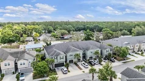 14229 Damselfly Drive Tampa FL 33625