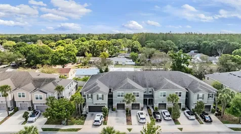 14229 Damselfly Drive Tampa FL 33625
