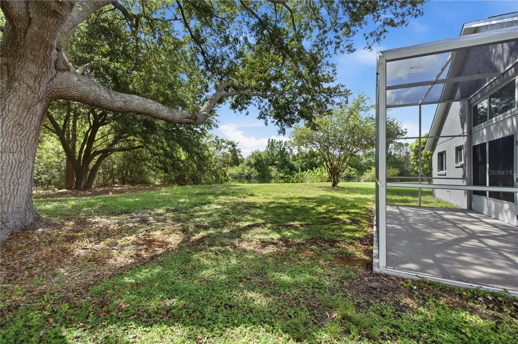 6003 Chellas Court Lutz FL 33558