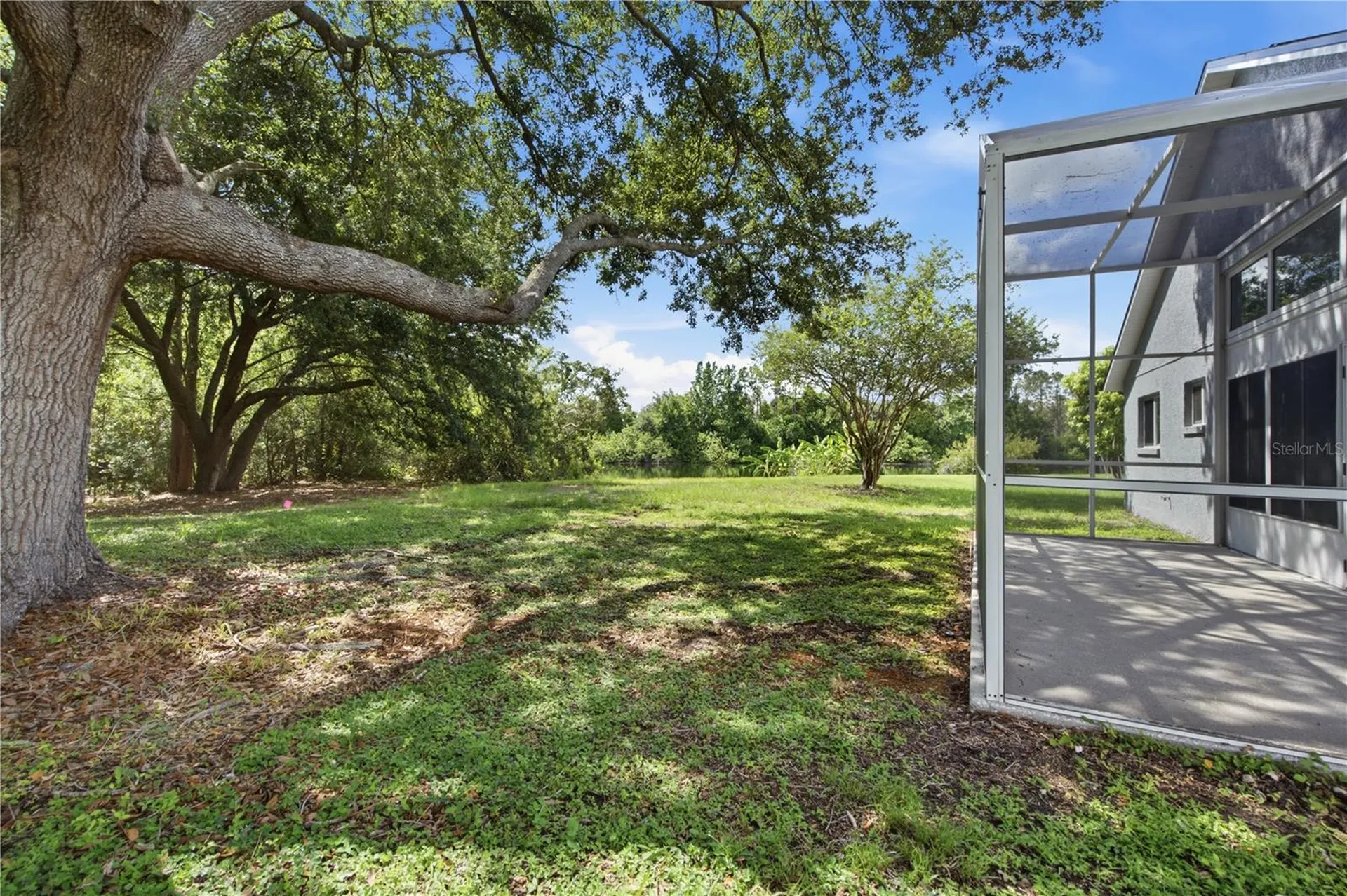 6003 Chellas Court Lutz FL 33558