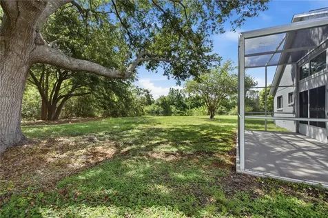 6003 Chellas Court Lutz FL 33558