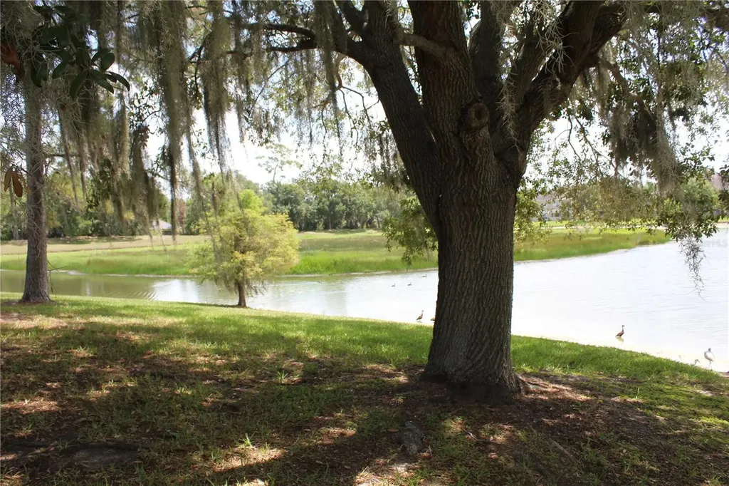 1819 Sandhill Lane Winter Haven FL 33884