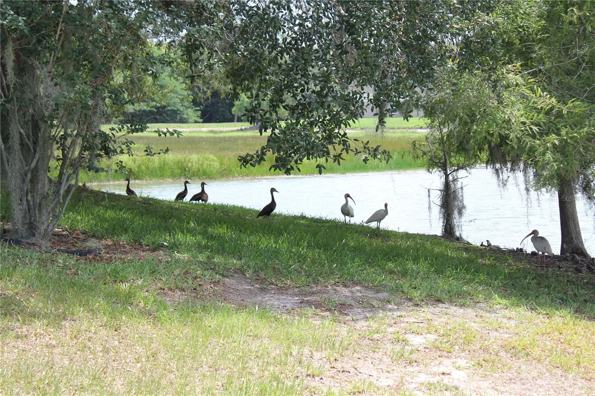 1819 Sandhill Lane Winter Haven FL 33884