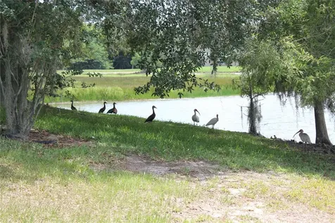 1819 Sandhill Lane Winter Haven FL 33884