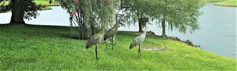 1819 Sandhill Lane Winter Haven FL 33884