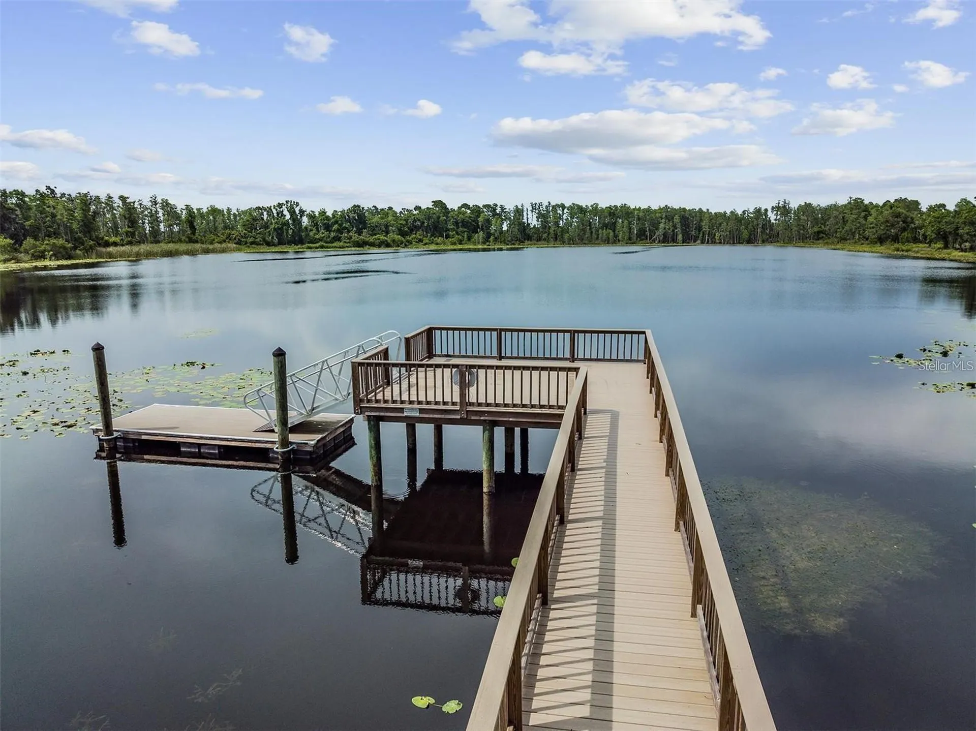 1763 Oak Hammock Court Lutz FL 33558