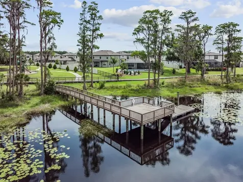 1763 Oak Hammock Court Lutz FL 33558