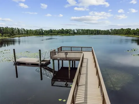 1763 Oak Hammock Court Lutz FL 33558