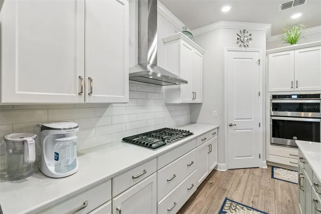 6112 Watercolor Drive Lithia FL 33547