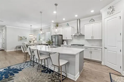6112 Watercolor Drive Lithia FL 33547
