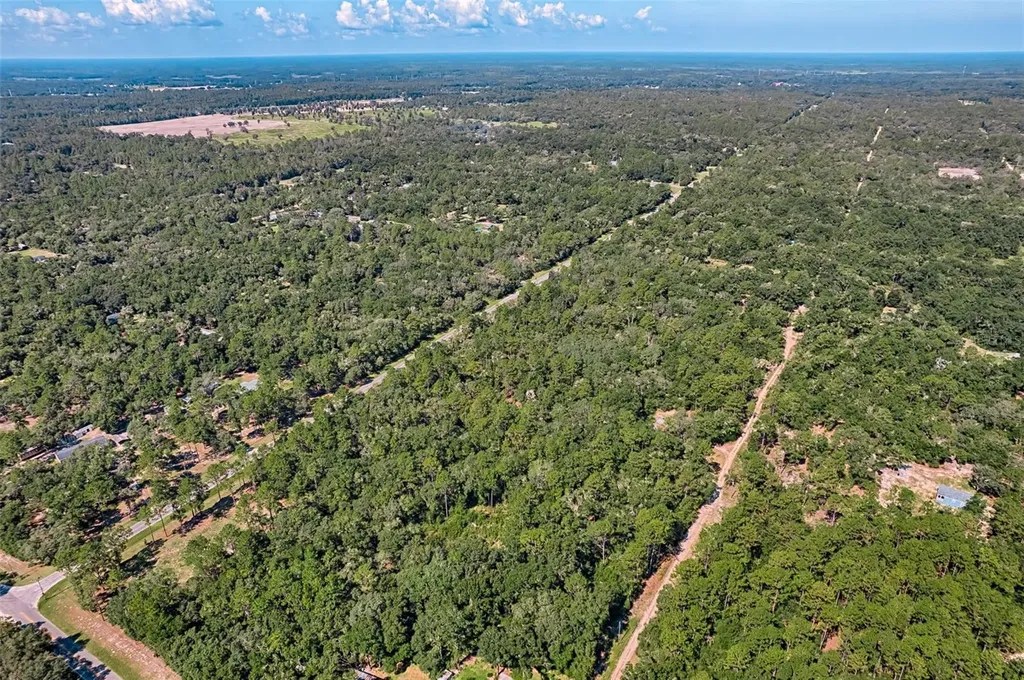 000 NE 82nd Place Bronson FL 32621