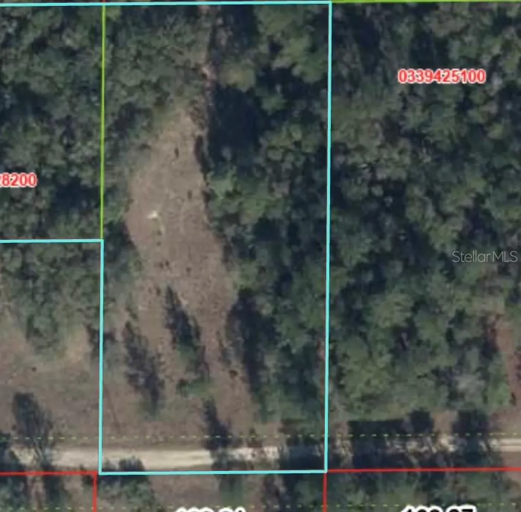 000 NE 82nd Place Bronson FL 32621