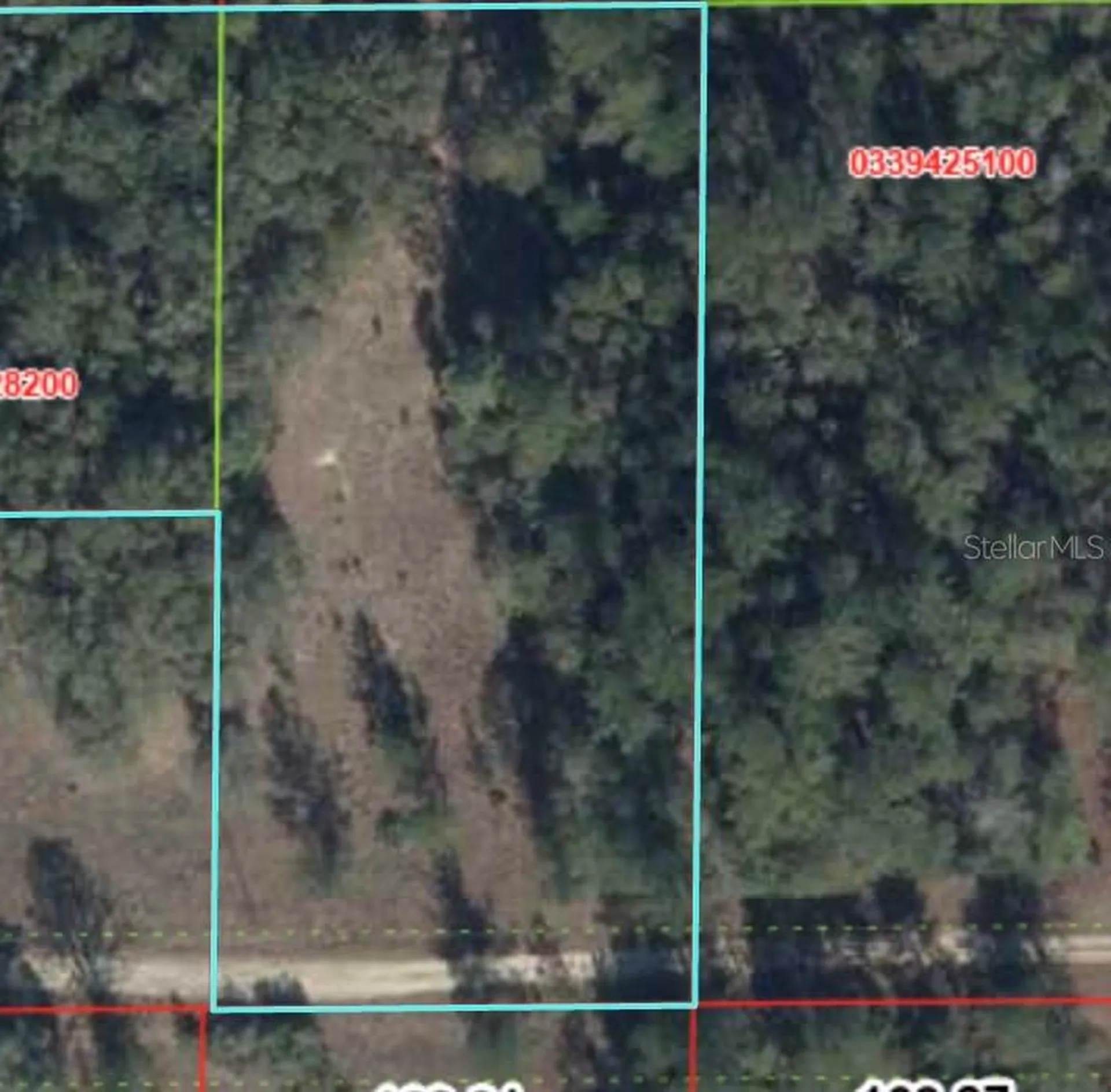 000 NE 82nd Place Bronson FL 32621