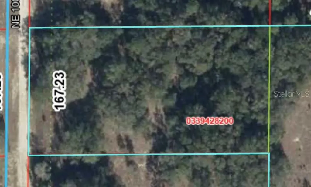 Tbd NE 100th Avenue Bronson FL 32621