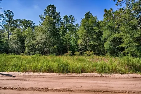 Tbd NE 100th Avenue Bronson FL 32621
